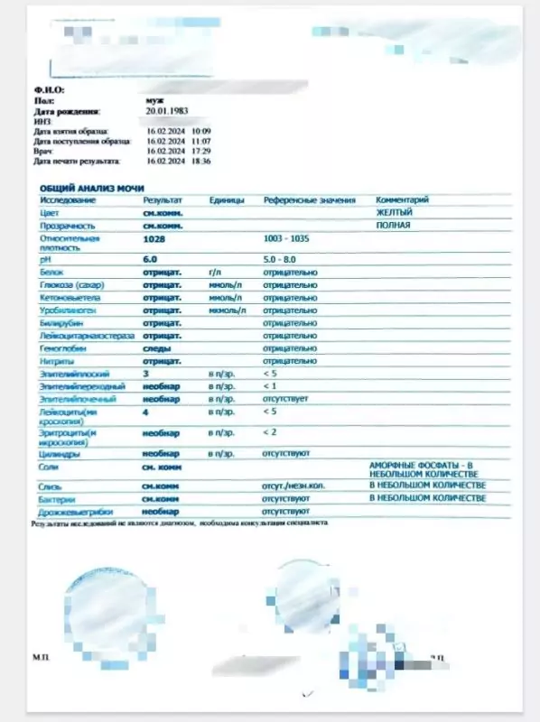 Общий анализ мочи (форма 210/у)
